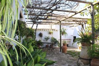 Cortijo el Morrón - Casa Rural - 1