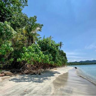 Hotel El Encanto - 9