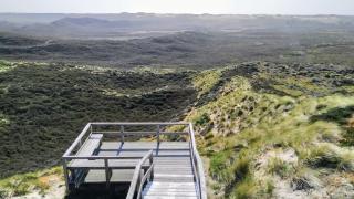 Lister Duenennest - 1