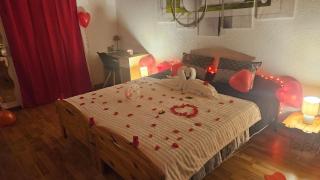 Appartement le Refuge du Cerisier - 0