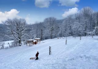 Drwalówka - Domek "POD GRAPĄ" - 9