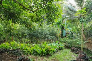 Cinnamon River Retreat - 1