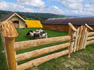 Chata Leszczynówka - Willa - 7