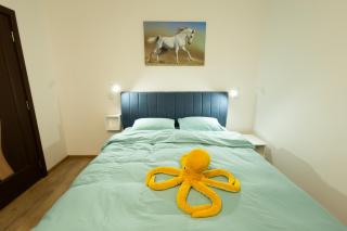 Turquoise Studio Nerva Traian - 1