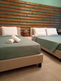 Litsa's House Platanias - 1