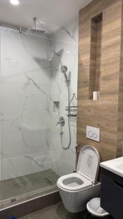 Modern Luxury One bedroom Apartment at Osu - 5