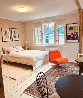 Hilma Rubinstein - apartamenty w historycznej willi - 4