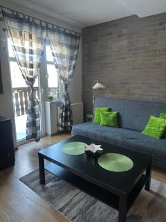 Szklarska Poręba dwupoziomowy, duży apartament z garażem i sauną - 9