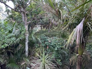 Blue Horizon Hideaway - 8