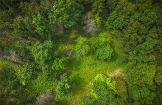 42 Acres Cabin Retreat with Scenic Views in Mark Twain National Forest - 1