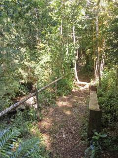 Pillang Likan tinas calientes, el poder del Volcan - 8