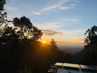 Eco Diamond Palace - 9