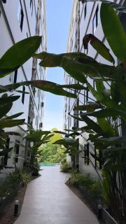 Апартаменты VIP Great Hill Най - Янг - 4