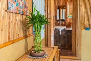 Boho Bamboo Bungalow Jungle Sanctuary Experience - 3