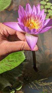 Vista villa - Panama - 9