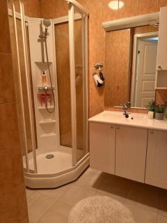 Winter dream in Målselv, modern apartment with a view - 6