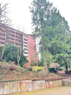 Black Forest Panorama Loft - 1