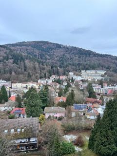 Black Forest Panorama Loft mit Pool - 3