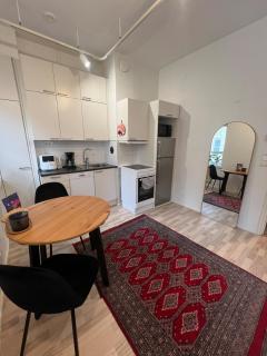Cozy studio in the heart of Helsinki - 3
