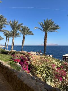 Amnesia Residence in Naama Bay - Downtown - 4