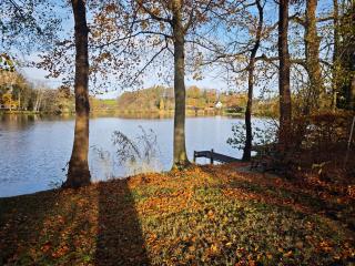 Trentsee Chalet - 6