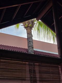 Casa Cabana - Pipa - 2