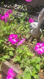 Wonderland in Melville Nature Retreat - 8