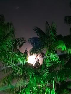 Chácara Celebrare - 1