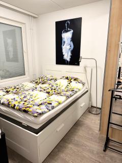 HHH Helsinki cosy central stay, free parking in 600 meters - 2