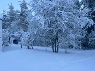 Apartment Northernlightroad - 9