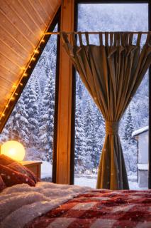 Borjomi Hills - 2