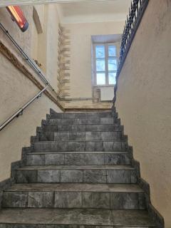 Šaltenių pašvaistė - 7