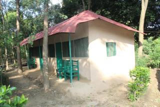 Shuklaphanta Jungle Cottage - 3