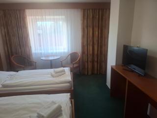 HOTEL SVRATKA - Svratka - 9