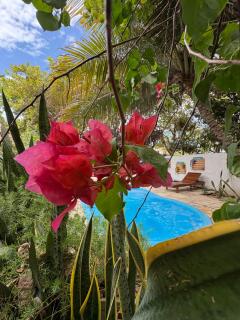 Pousada JeriMagia - 4