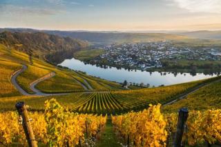 Ferienwohnung Moselnest - 6