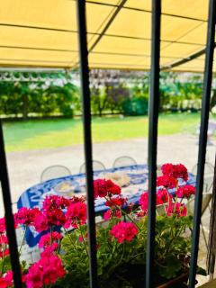 Garden House 20 minutes from Milan - 5