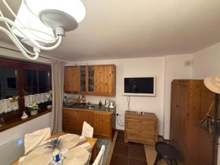 Apartament De Lux z ogródkiem Parking Centrum Duża Krokiew Krupówki - 9