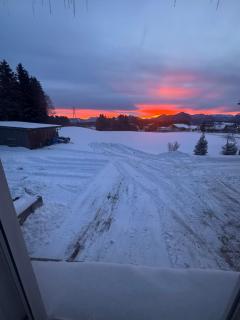 Moderne Ferienwohnung nahe Salzburg & Eugendorf - Eugendorf - 1