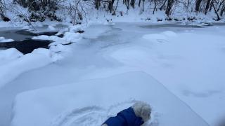 Cottage by the river Valea Draganului - 5