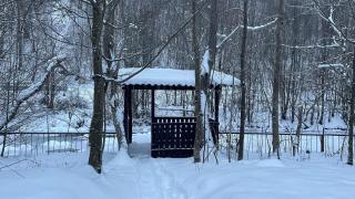 Cottage by the river Valea Draganului - 6