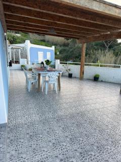 Ponzamania Stella marina - 8