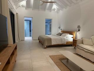 Spacious Modern Villa with Pool & Sunrise View - Graviola St Barth - 7