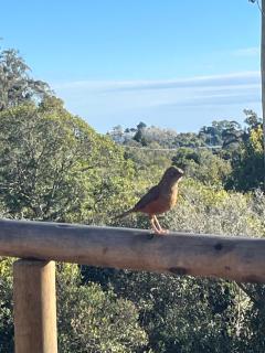 La Luna, casa mágica en sierras! - 1