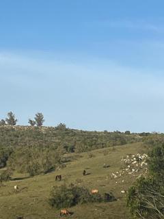La Luna, casa mágica en sierras! - 4