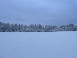 Smaland House Nature & Calm - 5