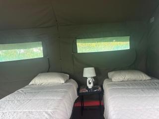 Inn Africa Safari Camp - 1