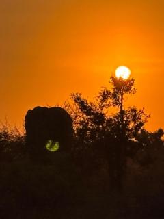 Inn Africa Safari Camp - 2