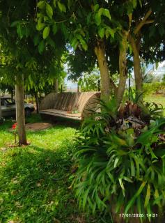 Casa com Piscina em Meio à Natureza - 2