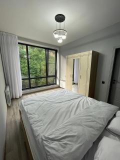 Ismayil Shikhseyidov - 8